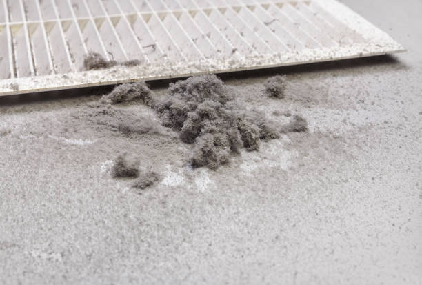 Best HVAC Air Duct Cleaning  in Sloan, IA