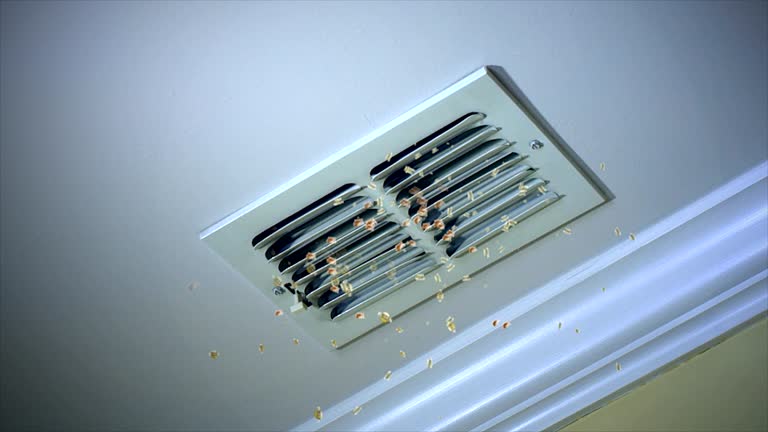 Best Air Duct Cleaning Near Me  in Sloan, IA